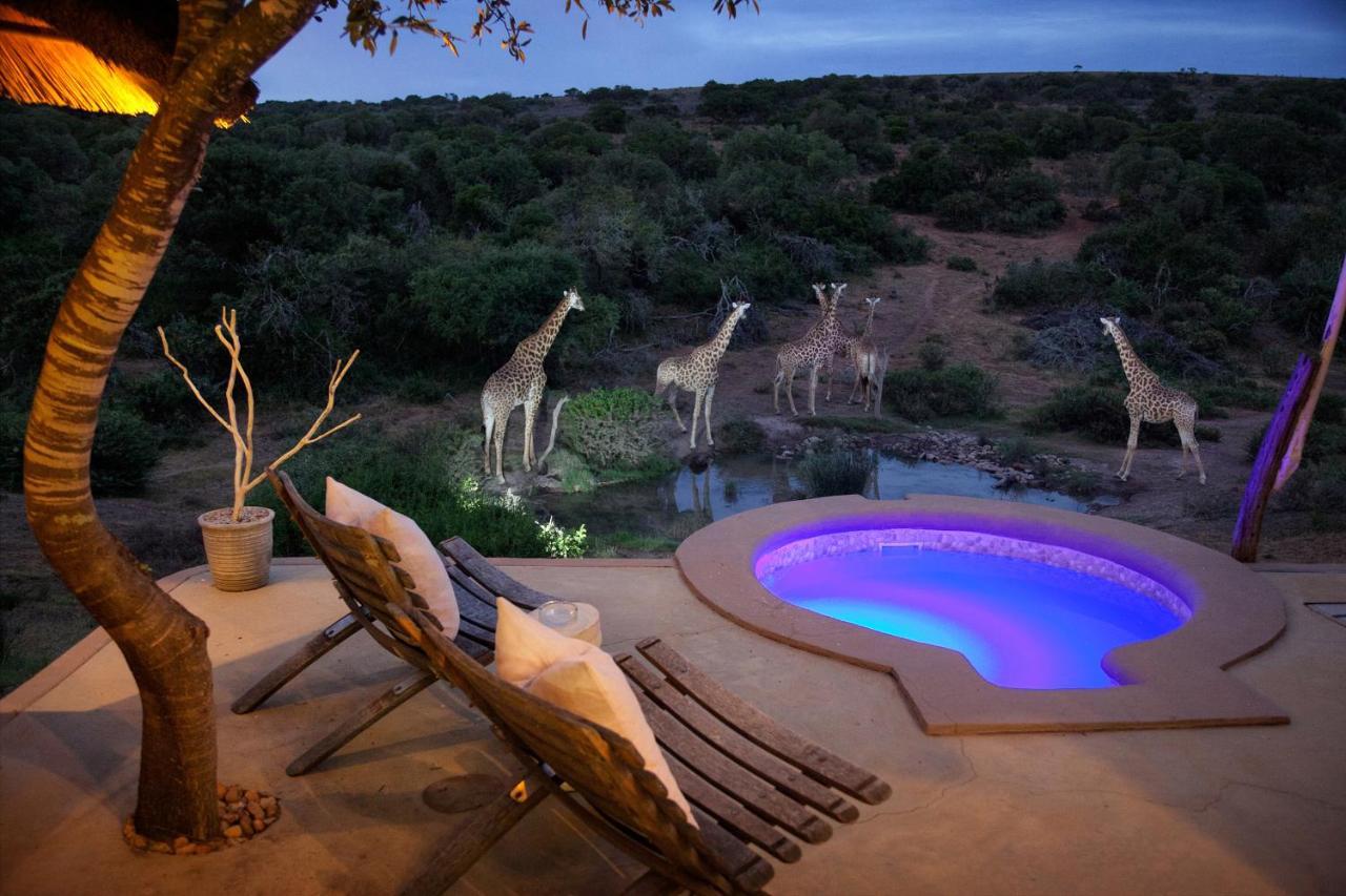 Safari Lodge - Riserva Faunistica di Amakhala Esterno foto