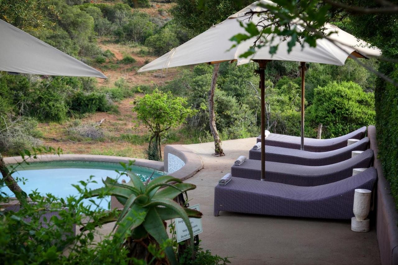 Safari Lodge - Riserva Faunistica di Amakhala Esterno foto