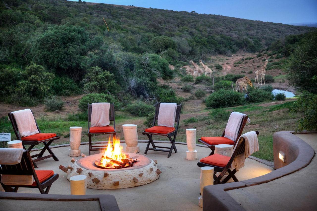 Safari Lodge - Riserva Faunistica di Amakhala Esterno foto