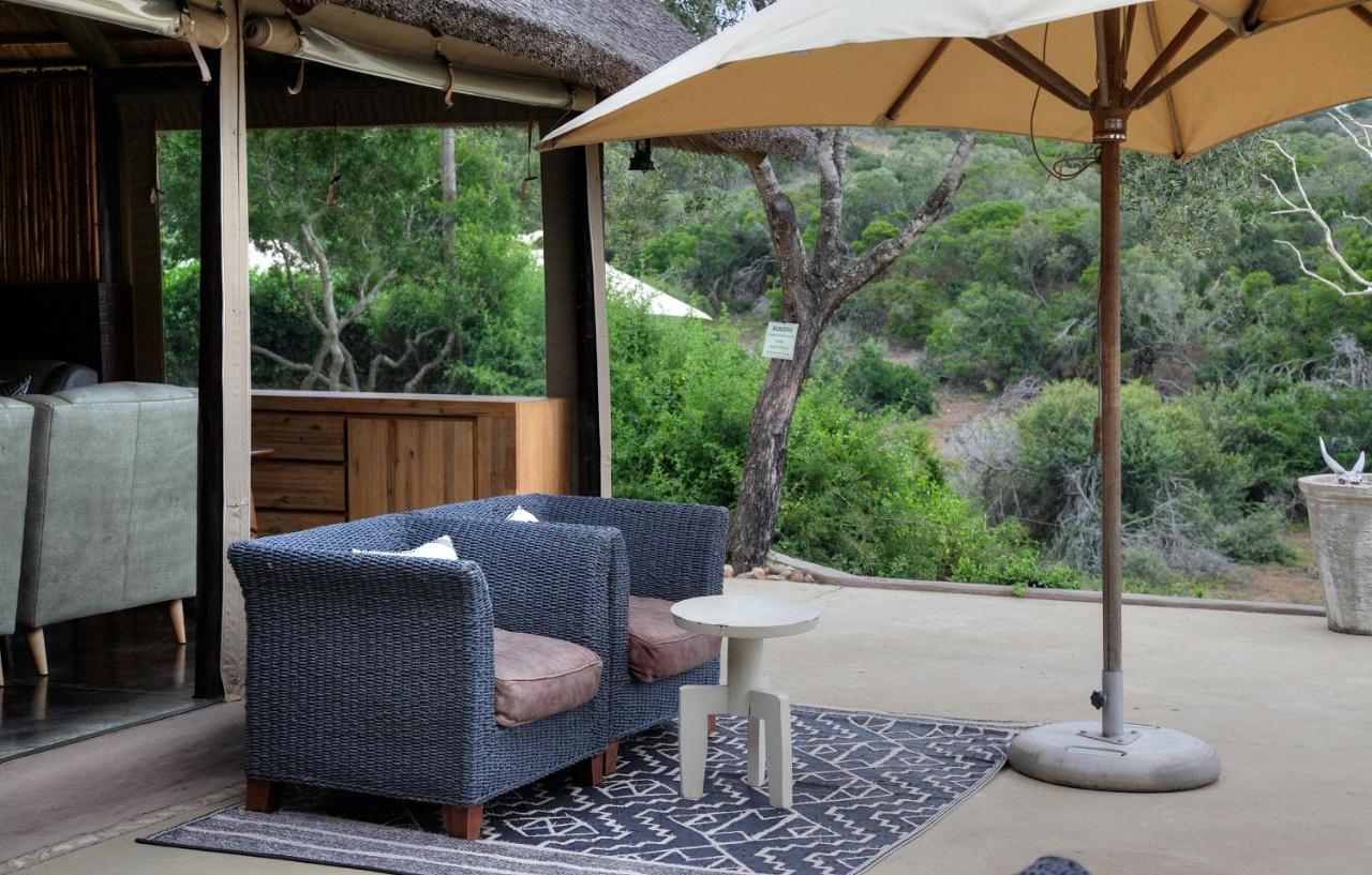 Safari Lodge - Riserva Faunistica di Amakhala Esterno foto