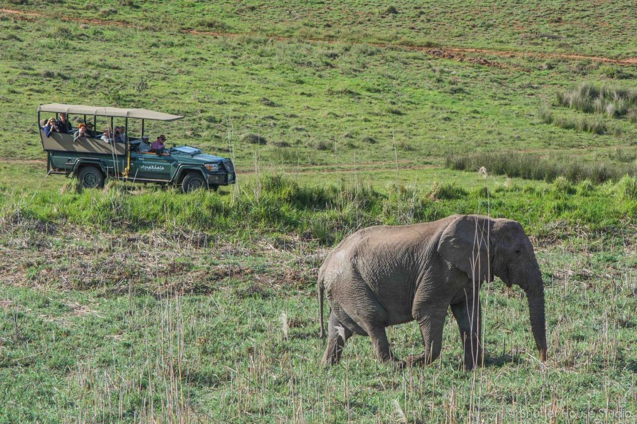 Safari Lodge - Riserva Faunistica di Amakhala Esterno foto